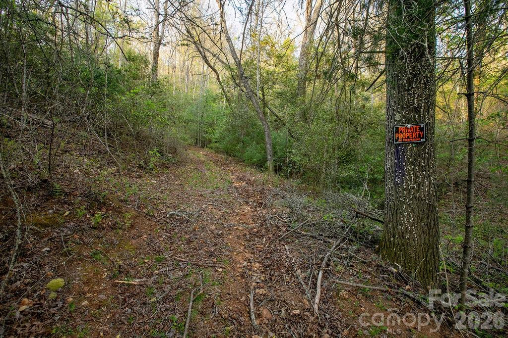 Off Diamond Creek Road - Photo 13