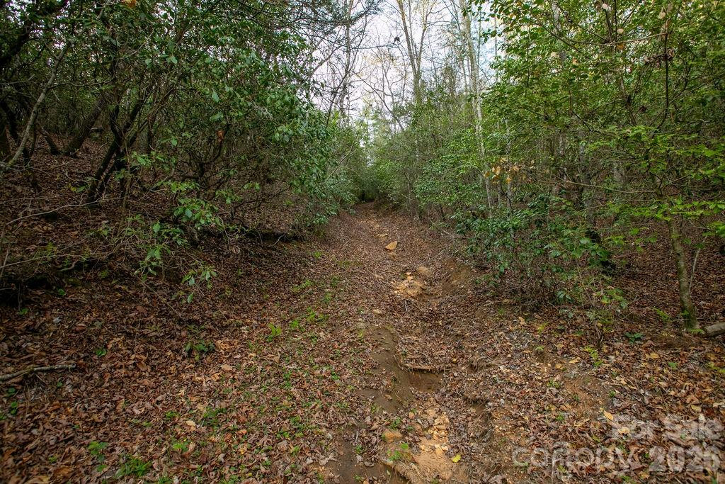 Off Diamond Creek Road - Photo 14