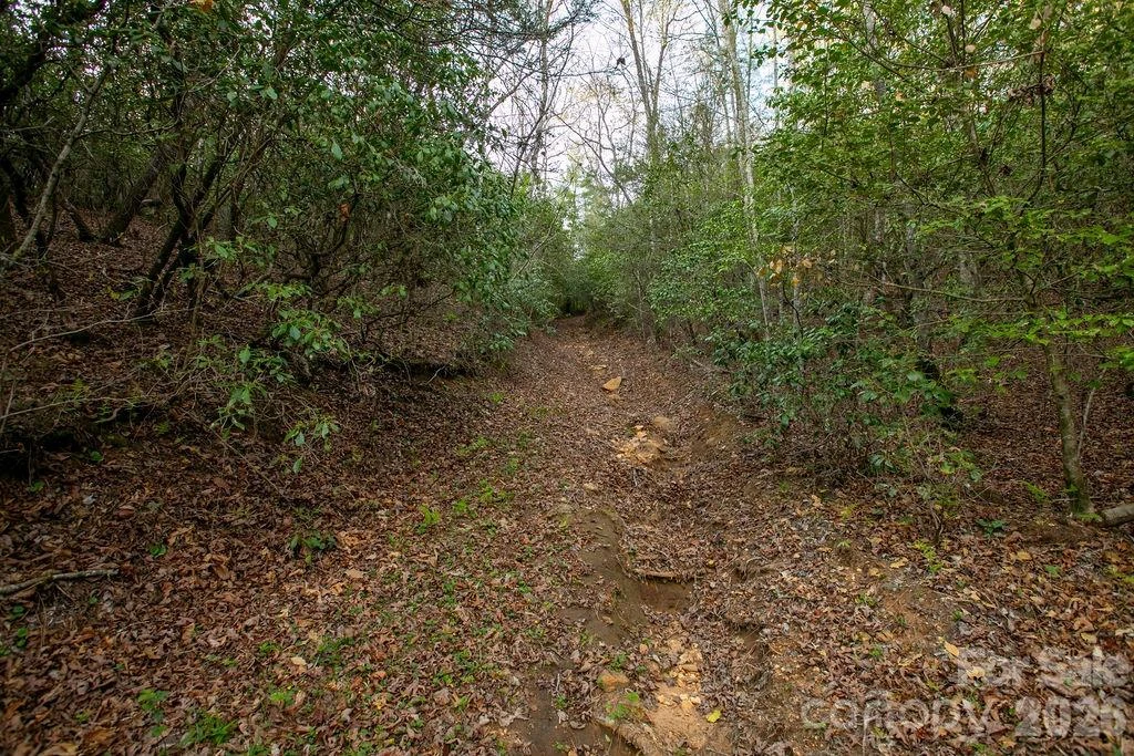 Off Diamond Creek Road - Photo 14