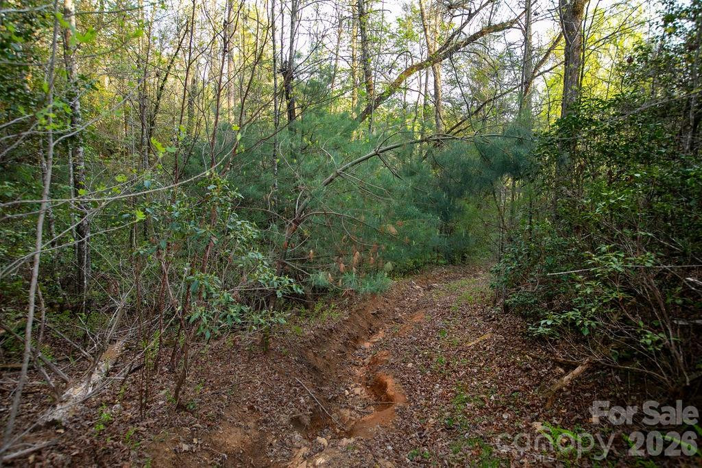 Off Diamond Creek Road - Photo 15