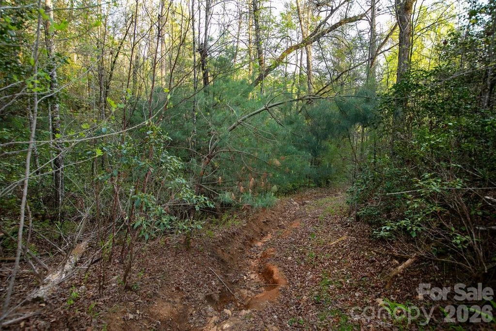 Off Diamond Creek Road - Photo 15