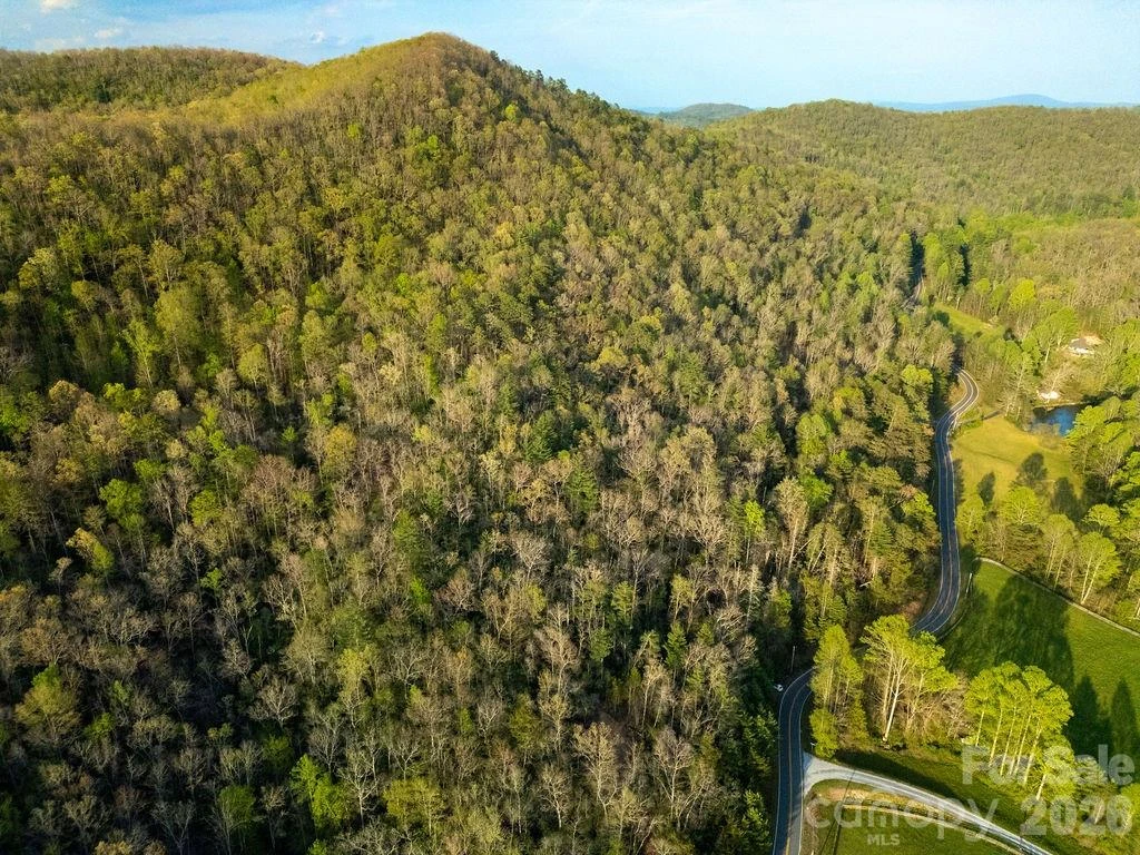 Off Diamond Creek Road - Photo 3