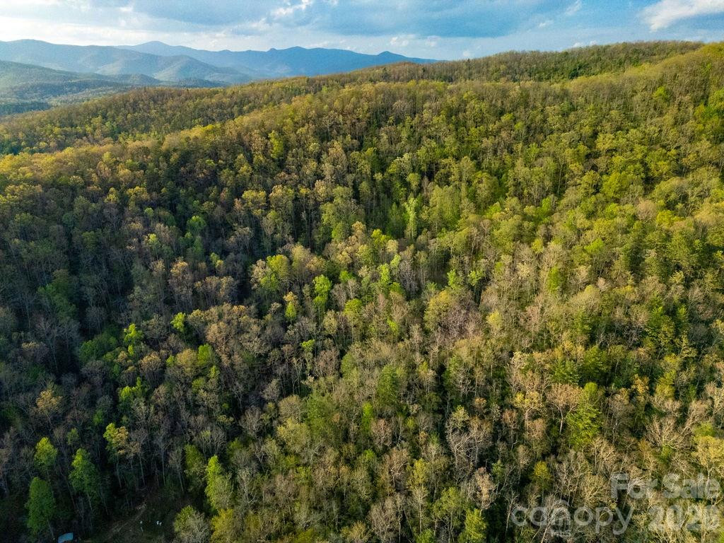 Off Diamond Creek Road - Photo 4