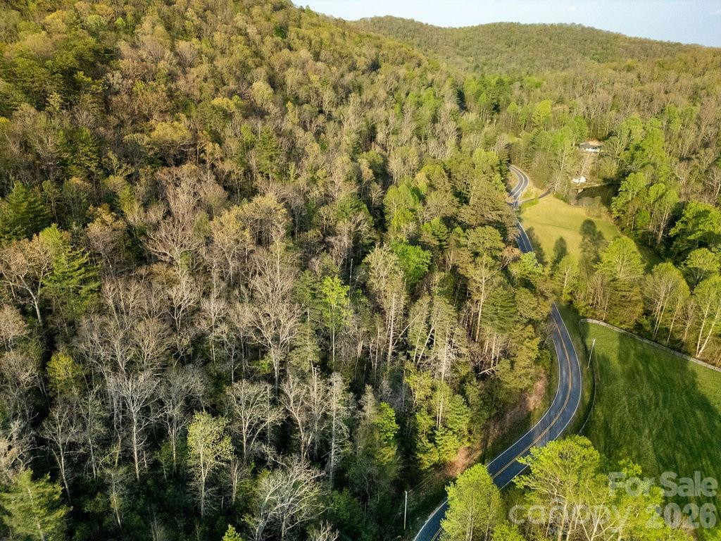 Off Diamond Creek Road - Photo 5