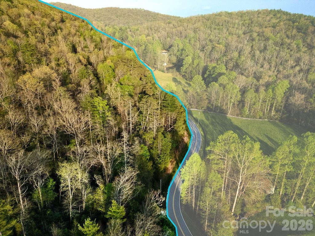 Off Diamond Creek Road - Photo 6