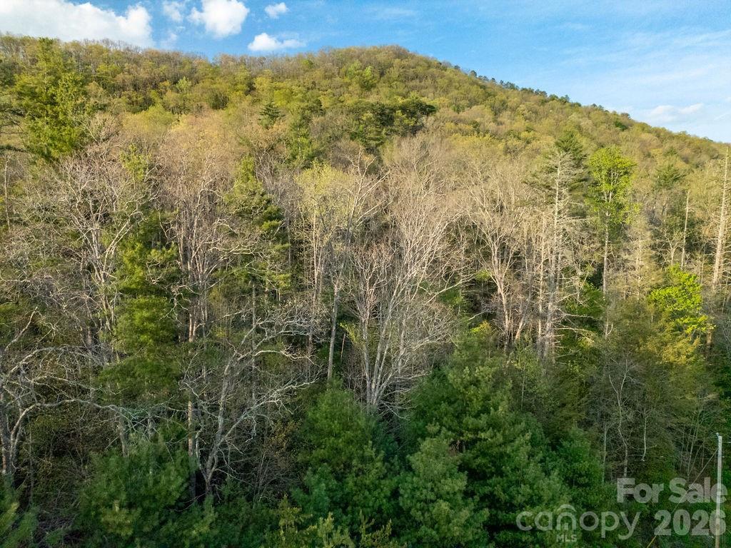 Off Diamond Creek Road - Photo 7