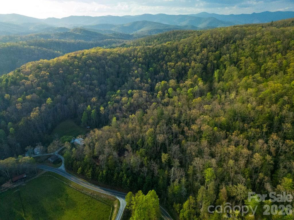 Off Diamond Creek Road - Photo 8