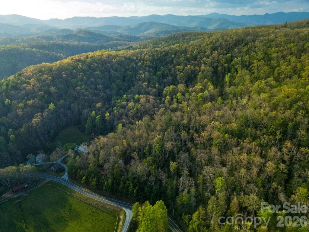 Off Diamond Creek Road - Photo 8