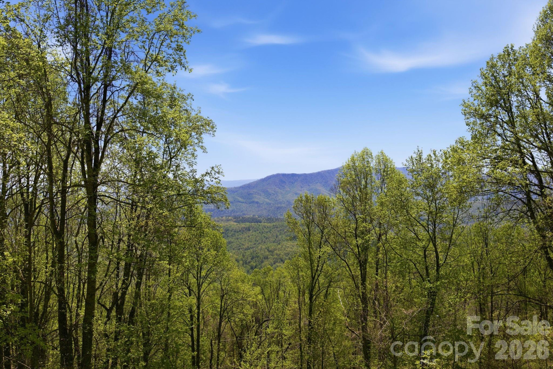 199 Alpine Drive - Photo 39