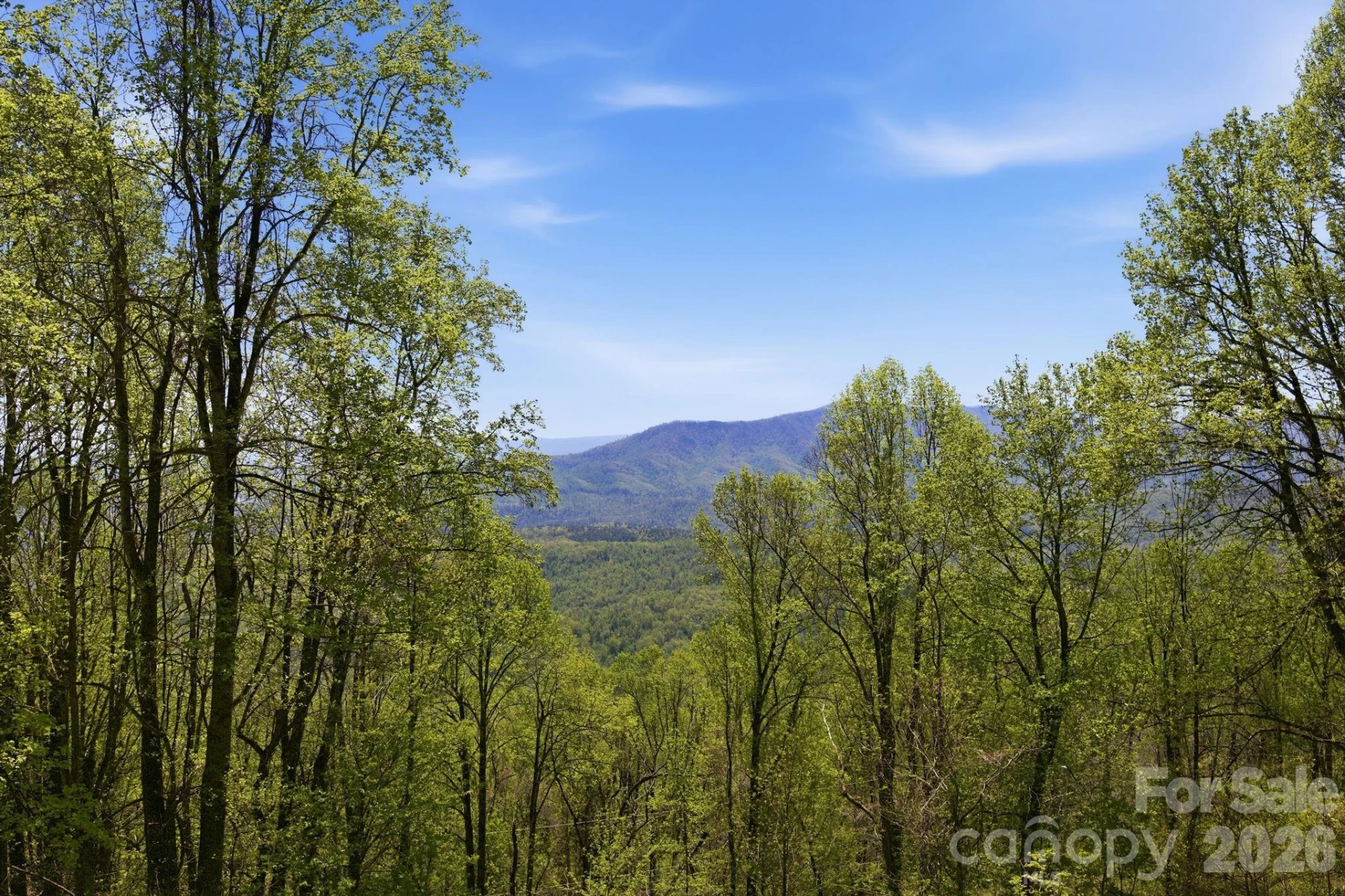 199 Alpine Drive - Photo 39