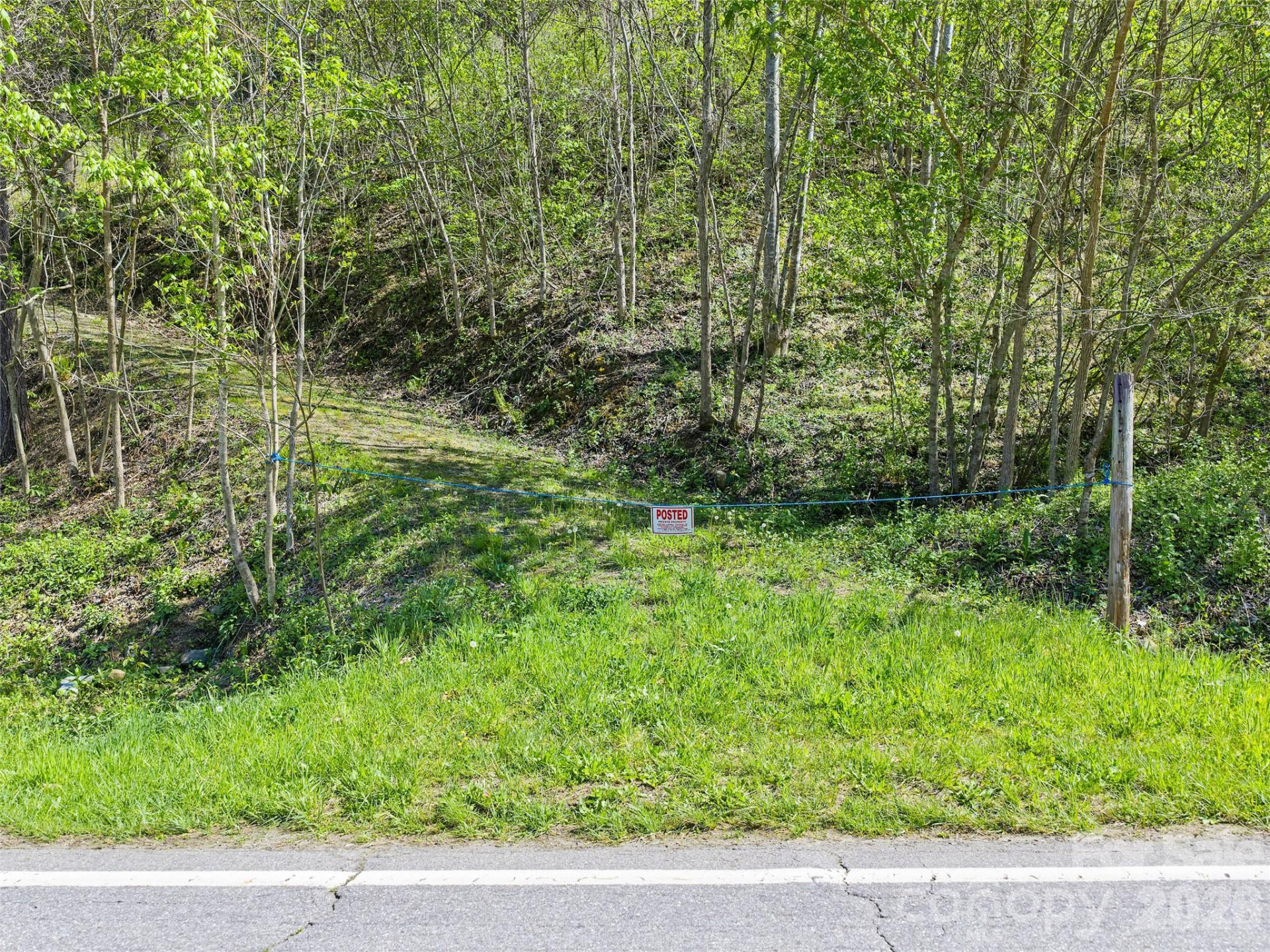 000 Little Pine Road - Photo 8