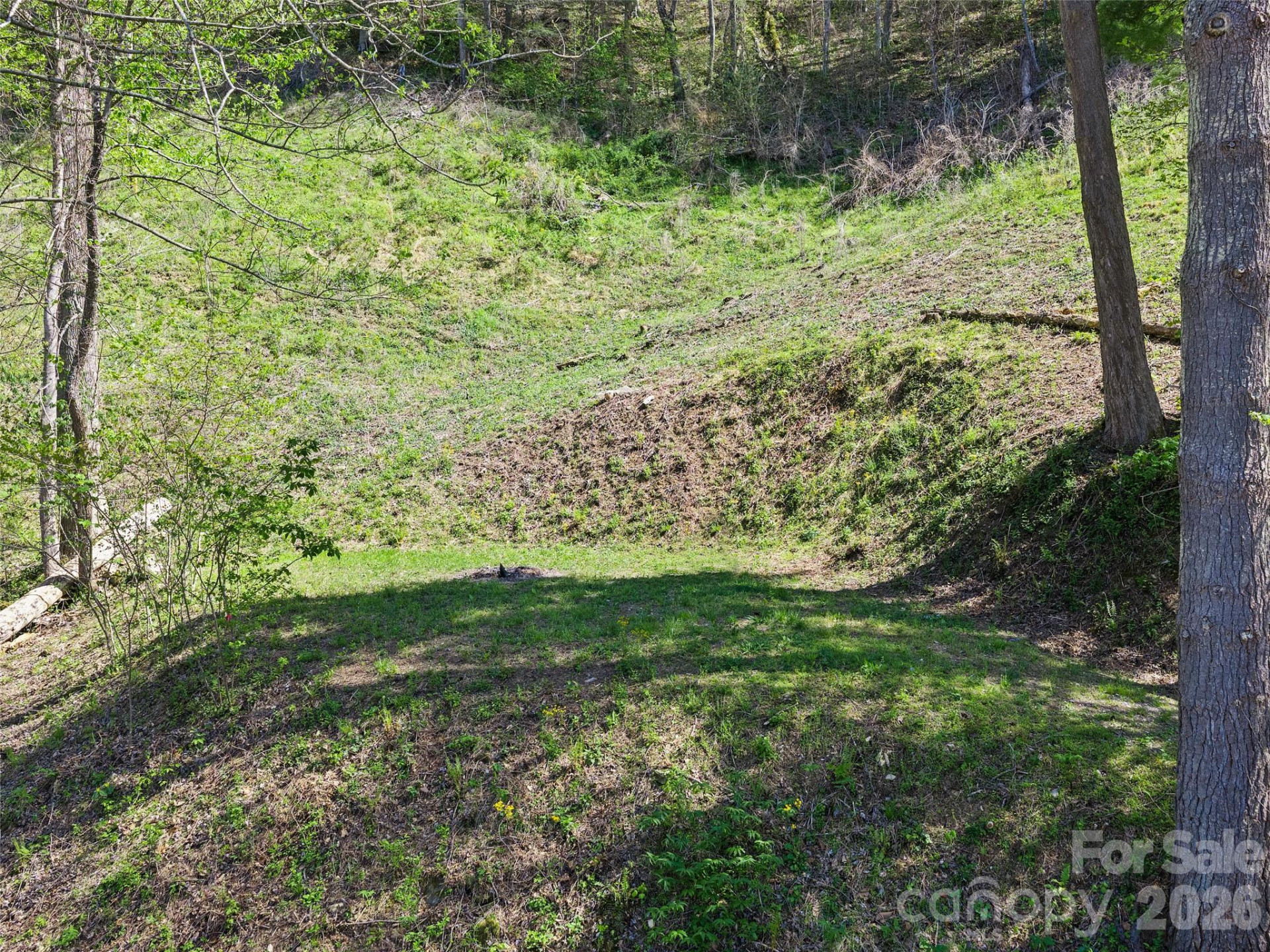 000 Little Pine Road - Photo 9