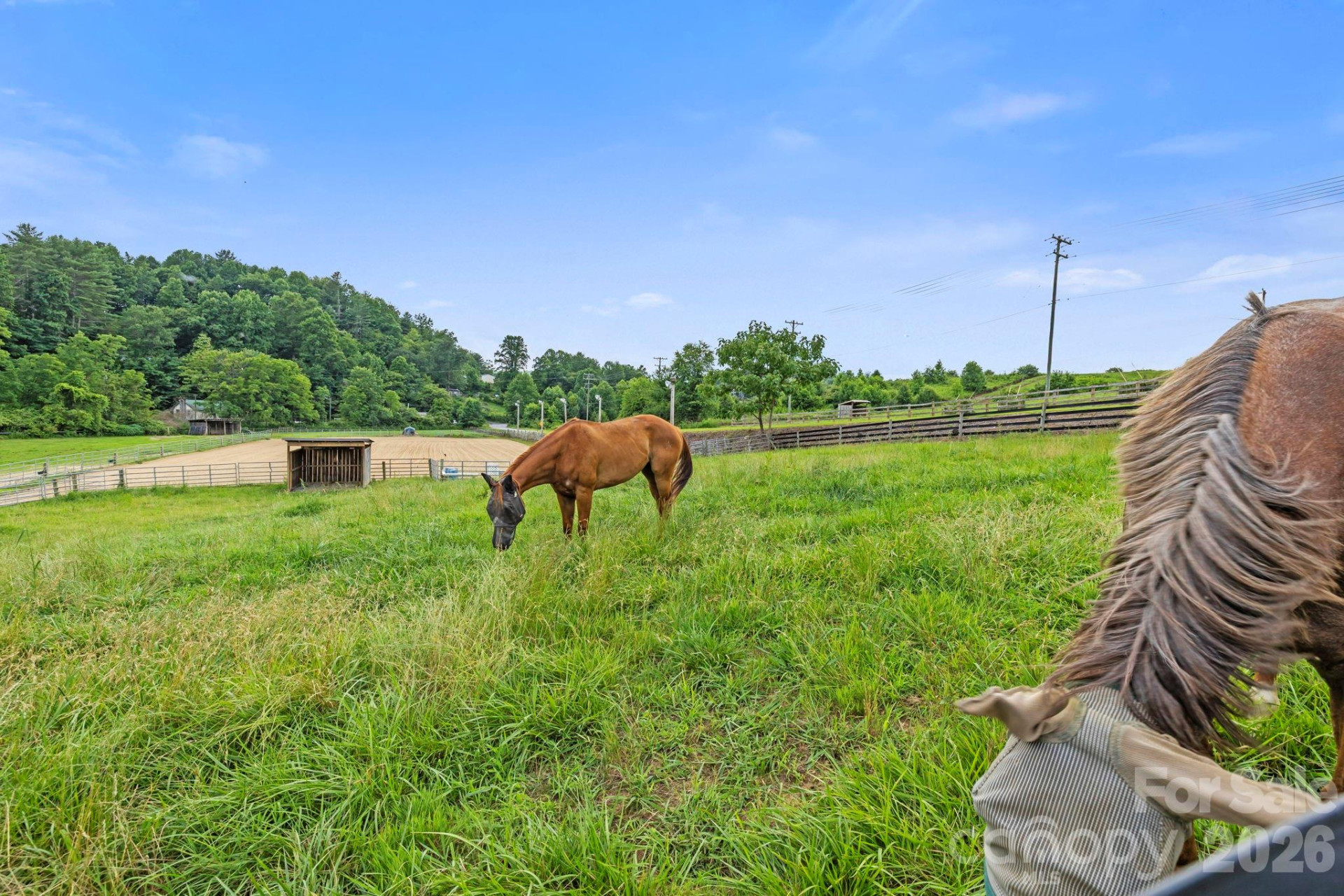 442 Blantyre Church Road - Photo 45