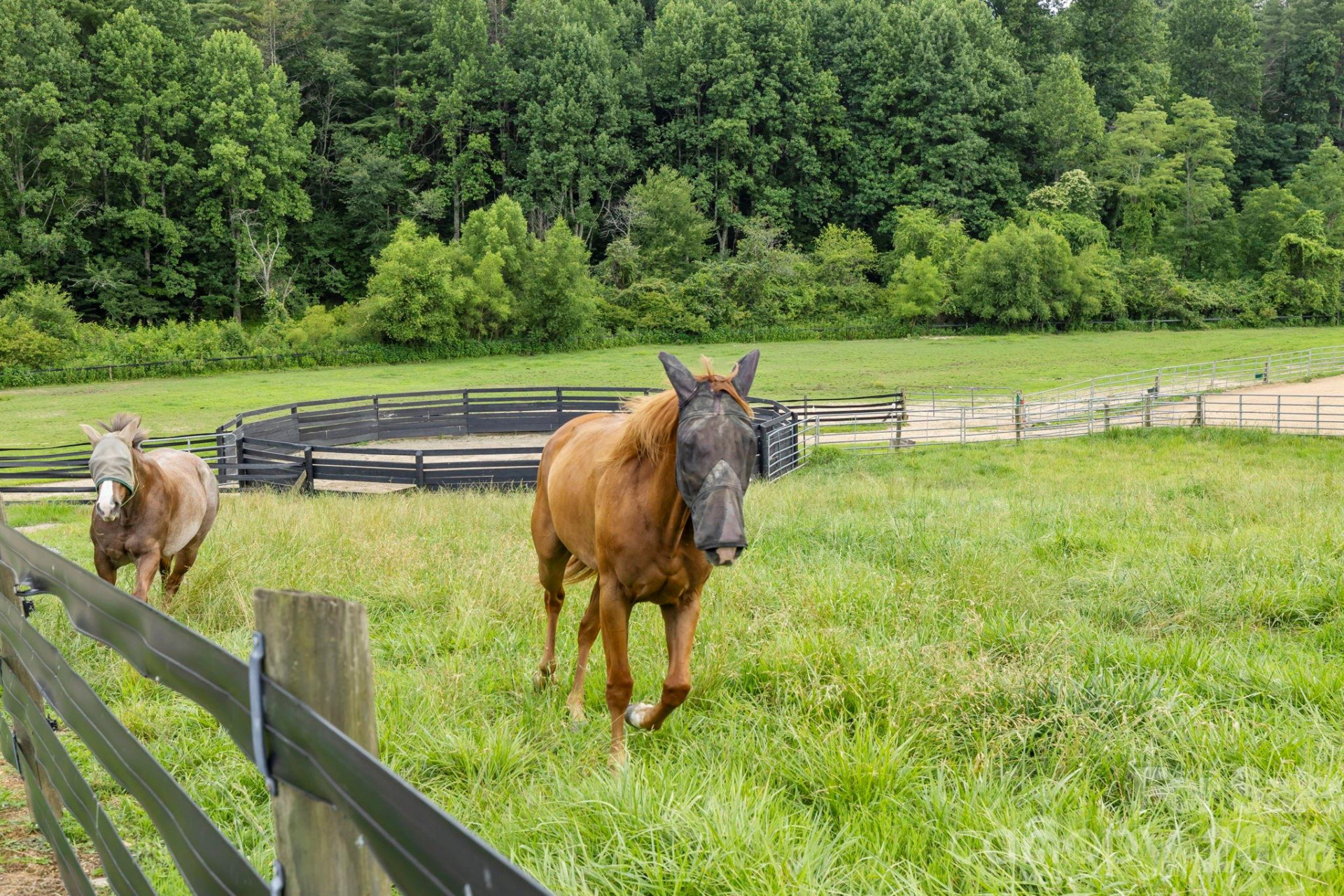 442 Blantyre Church Road - Photo 30