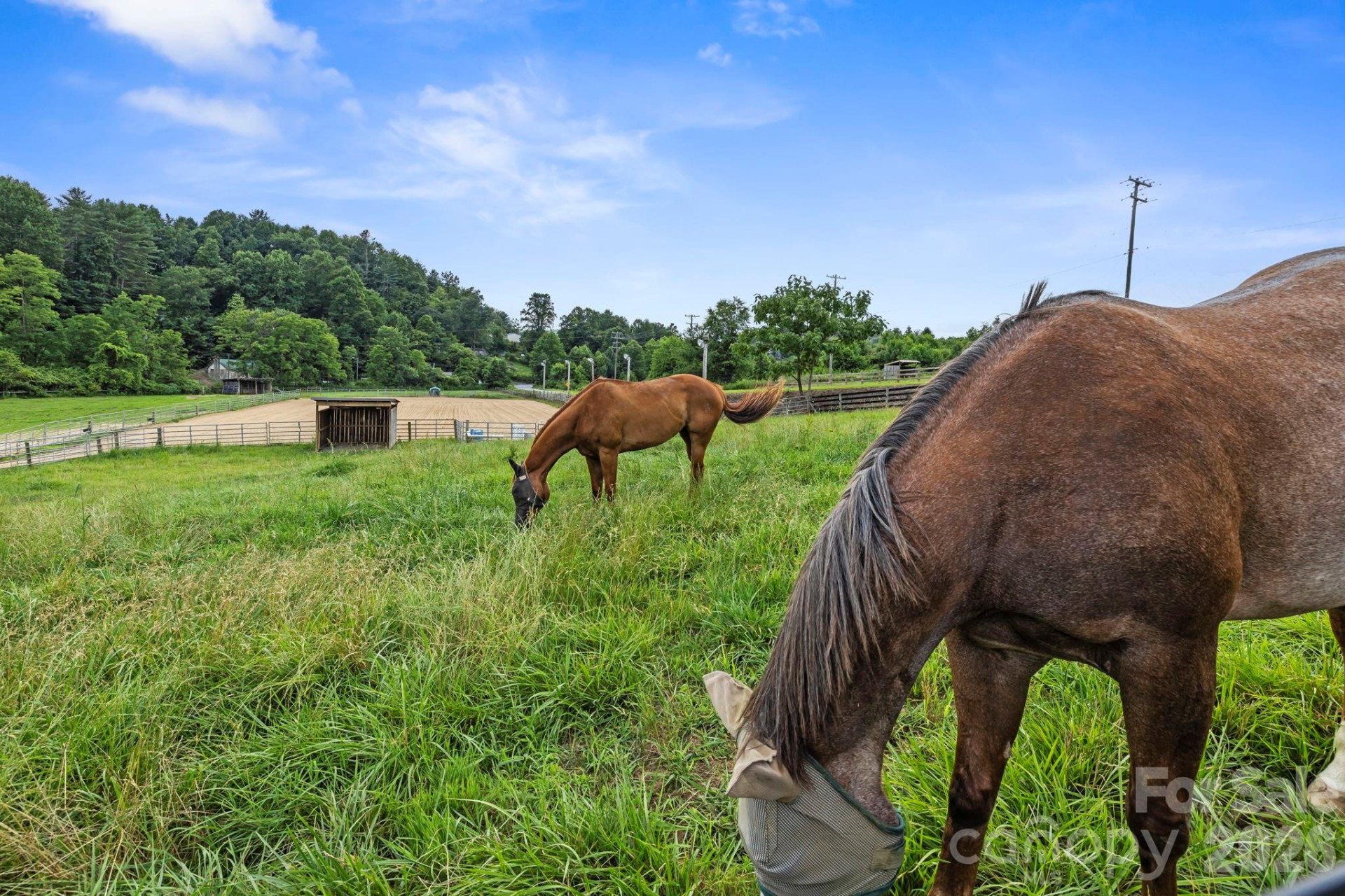 442 Blantyre Church Road - Photo 32