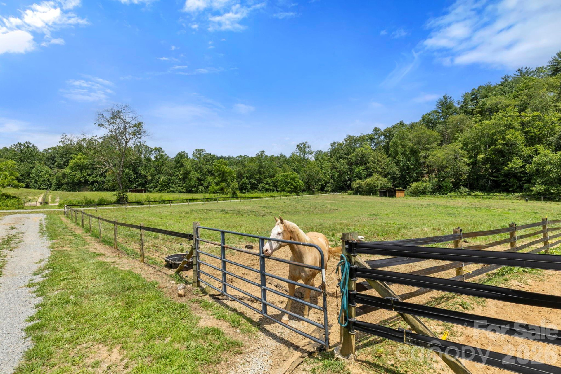 442 Blantyre Church Road - Photo 42