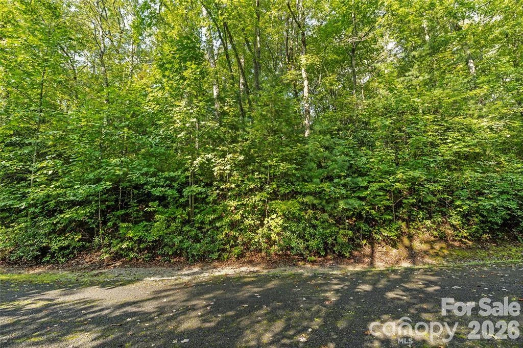 TBD Barts Branch Drive #13 - Photo 9