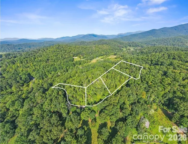 TBD Barts Branch Drive, Balsam Grove, NC, 28708