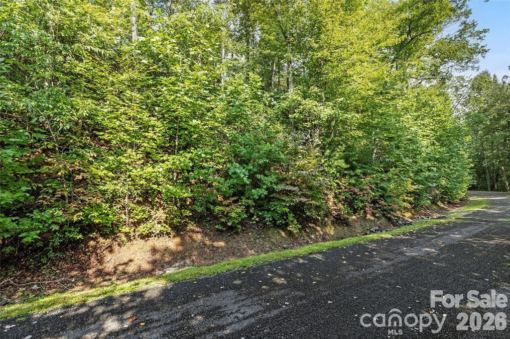 TBD Barts Branch Drive #14 - Photo 6