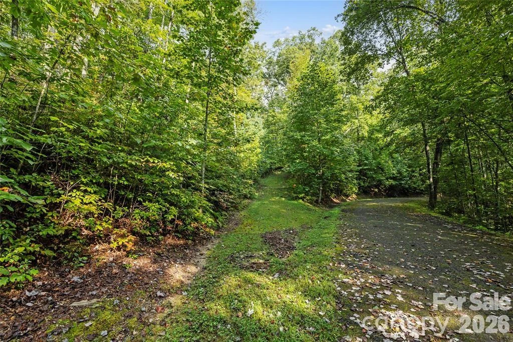 TBD Barts Branch Drive #14 - Photo 7