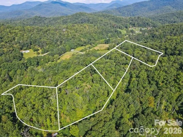 TBD Barts Branch Drive, Balsam Grove, NC, 28708