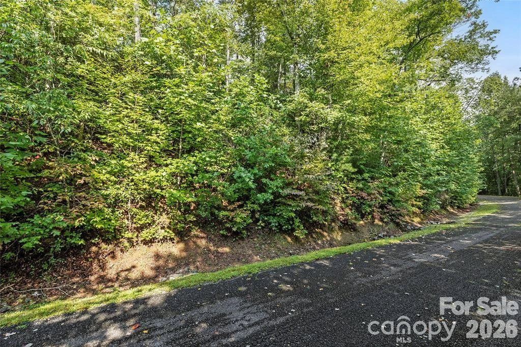 TBD Barts Branch Drive #15 - Photo 6