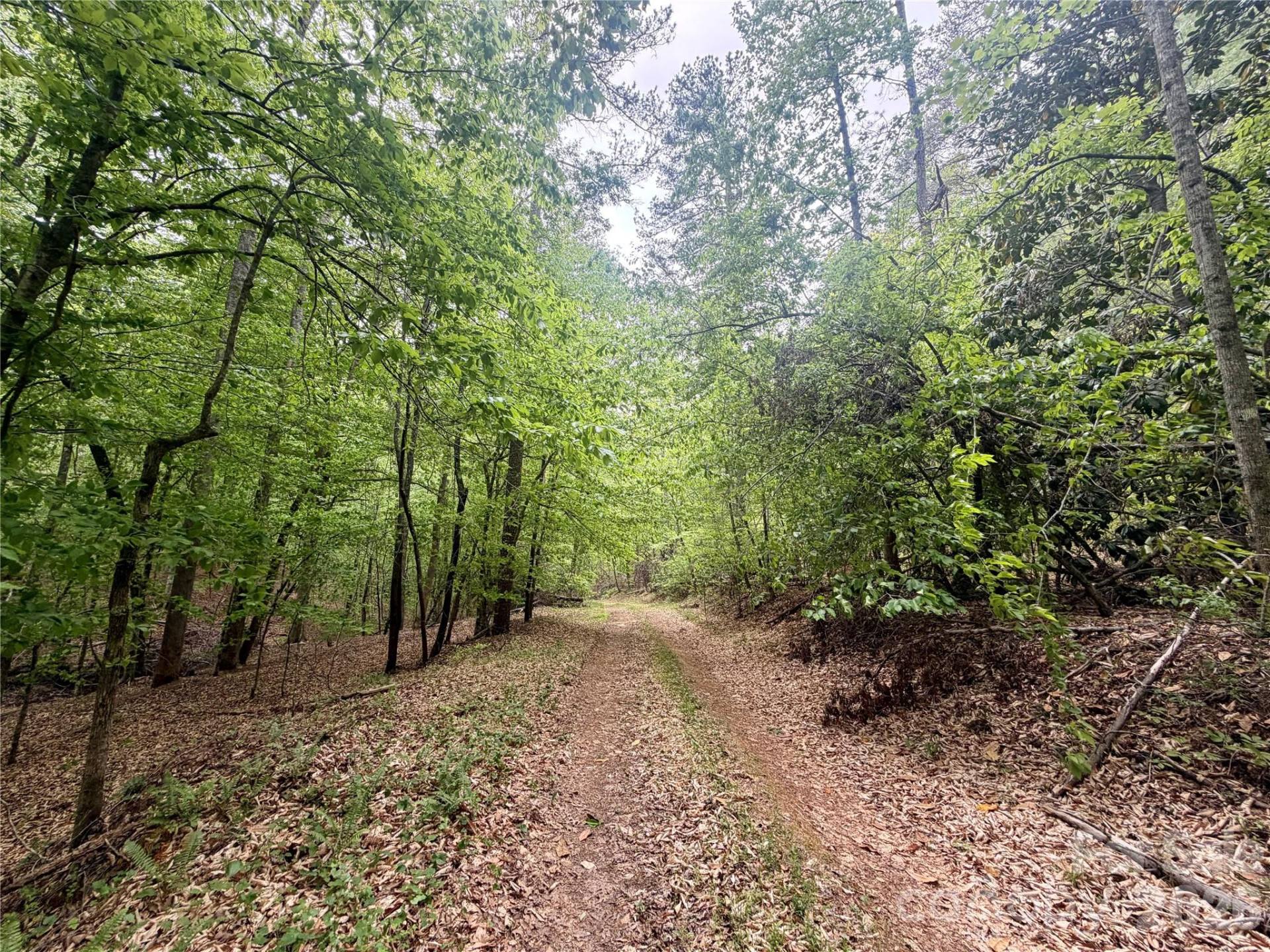 0 Polk County Line Road - Photo 2