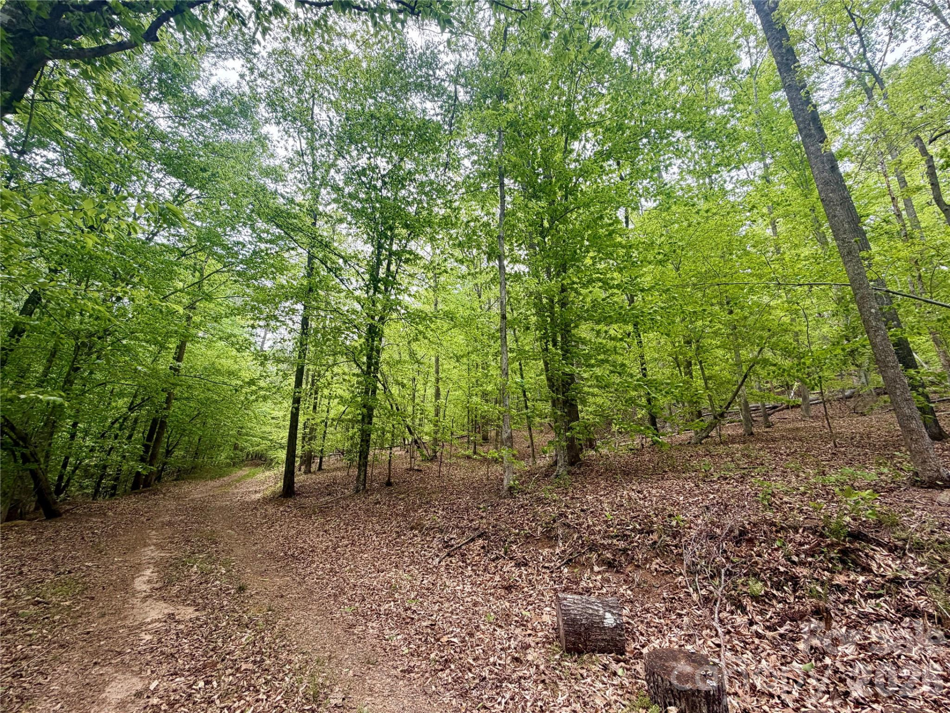 0 Polk County Line Road - Photo 11