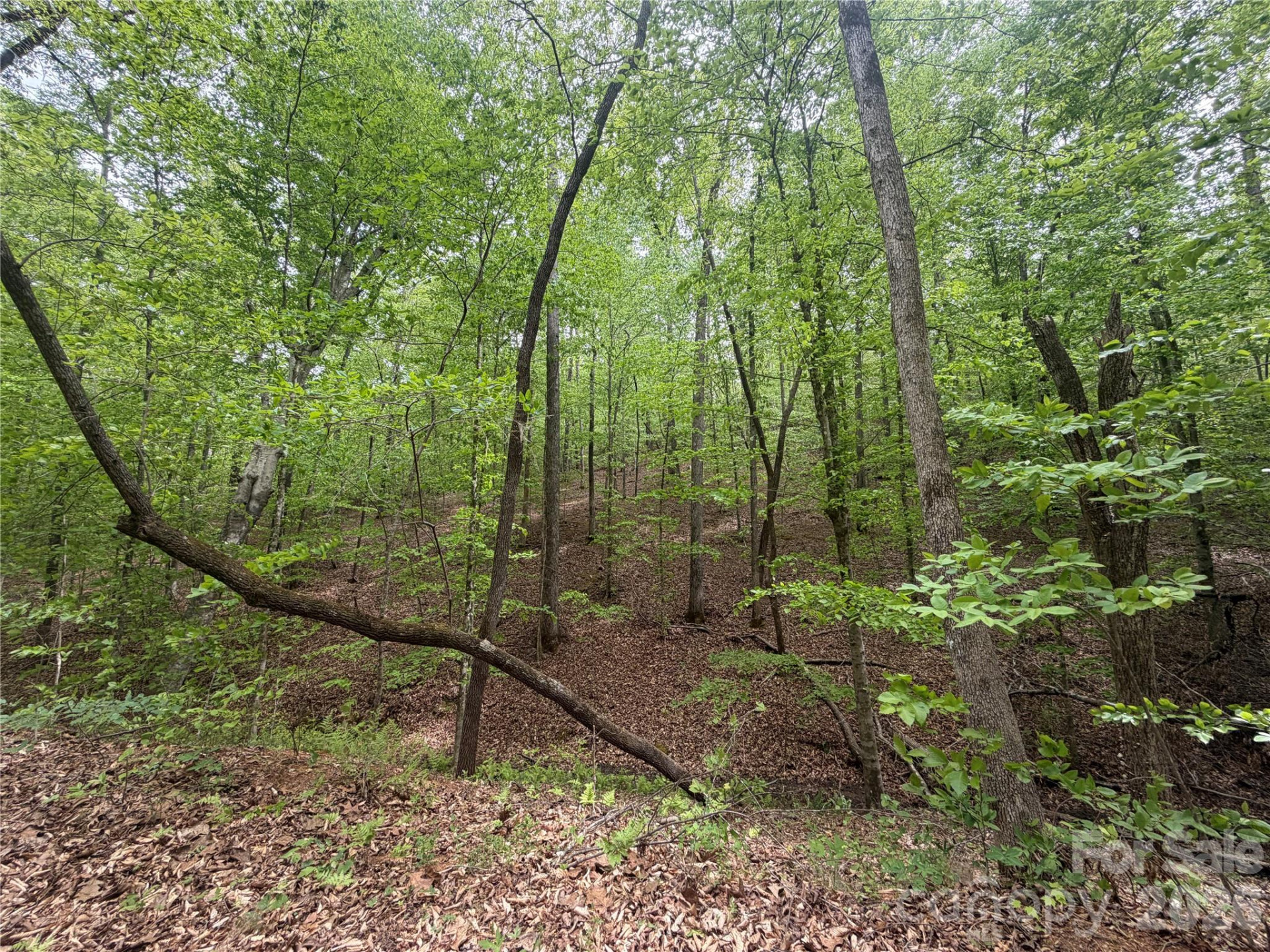 0 Polk County Line Road - Photo 12