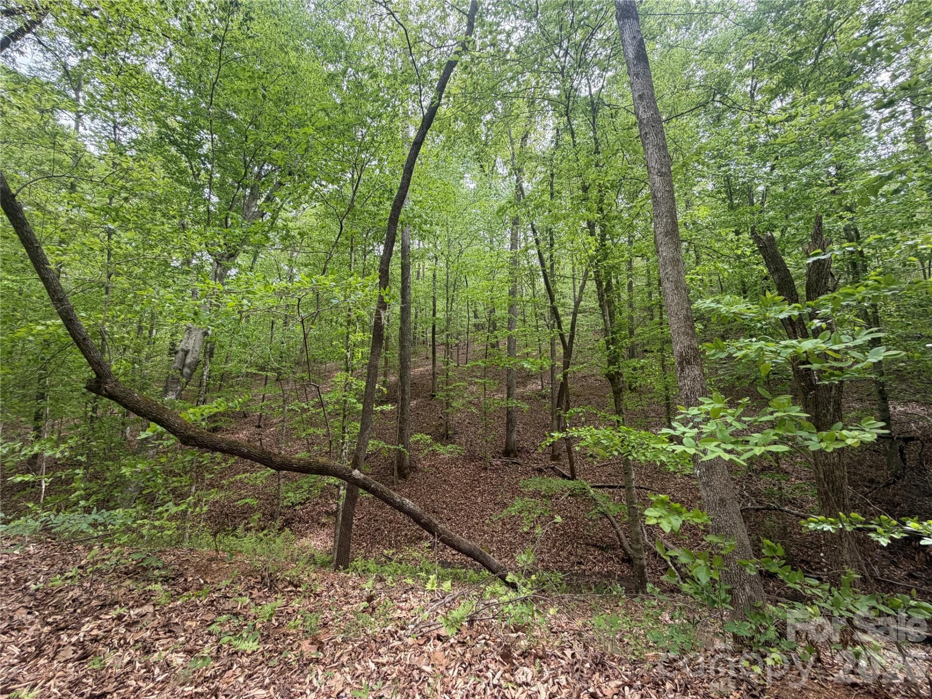 0 Polk County Line Road - Photo 12