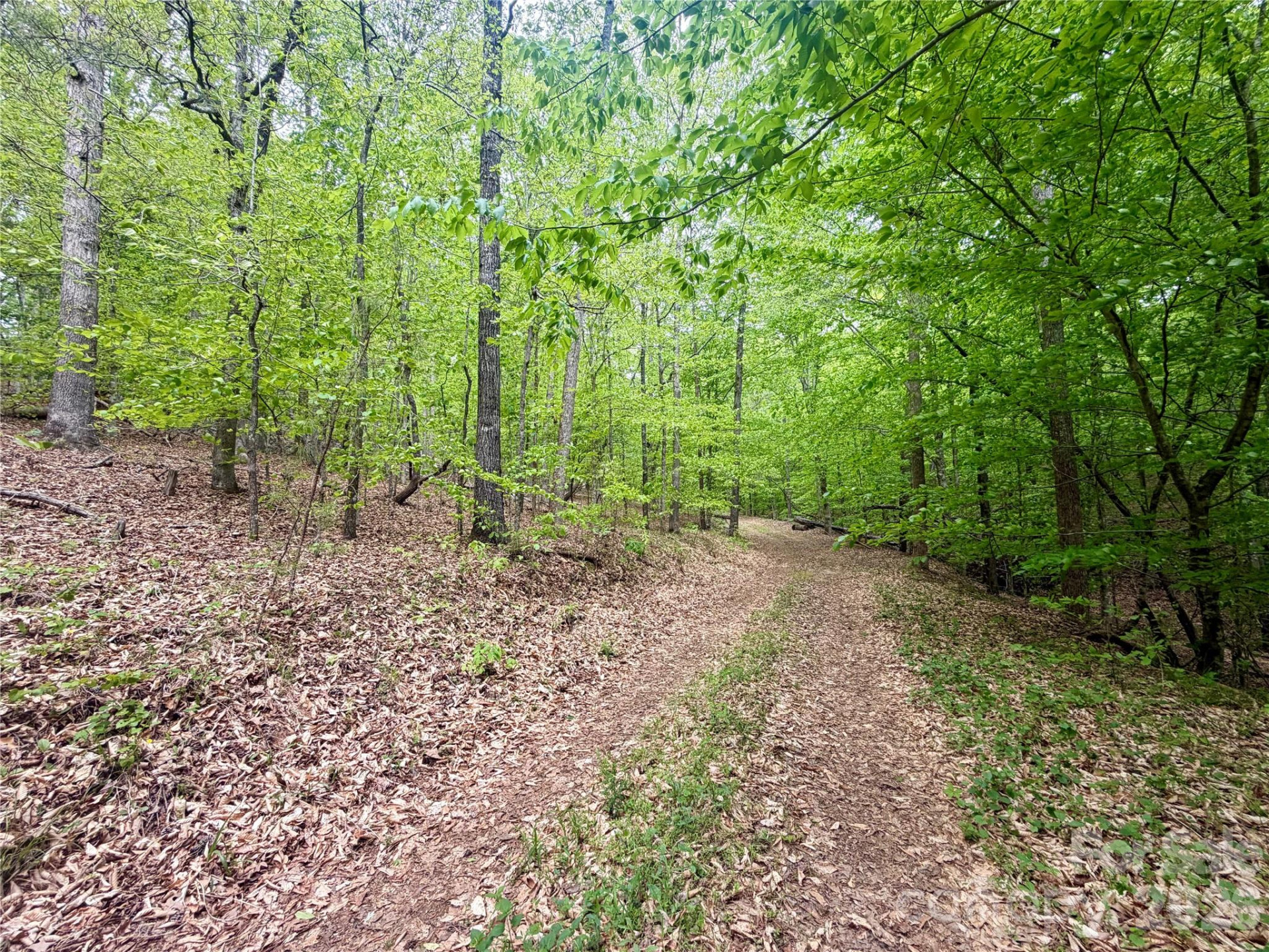 0 Polk County Line Road - Photo 13