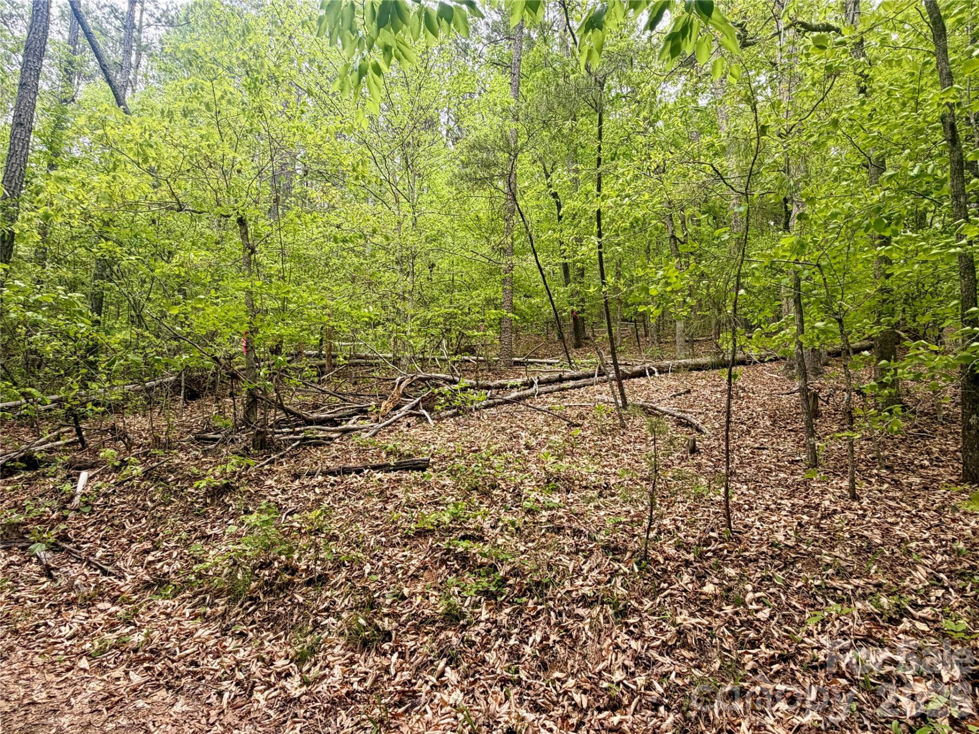 0 Polk County Line Road - Photo 14