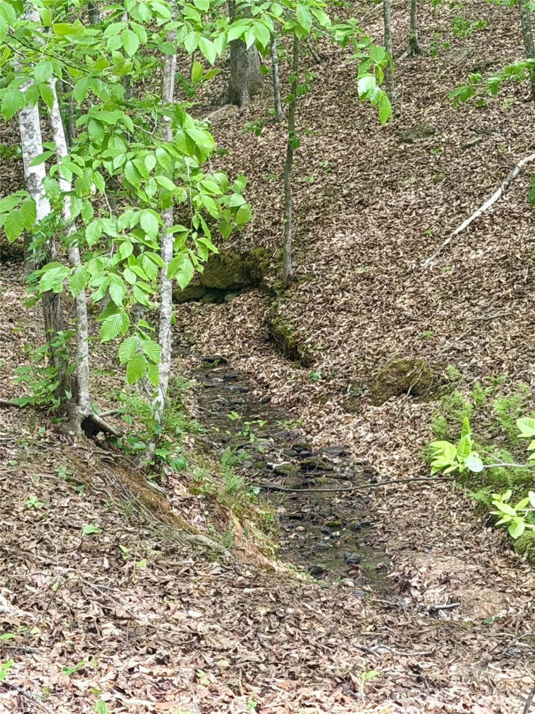 0 Polk County Line Road - Photo 15