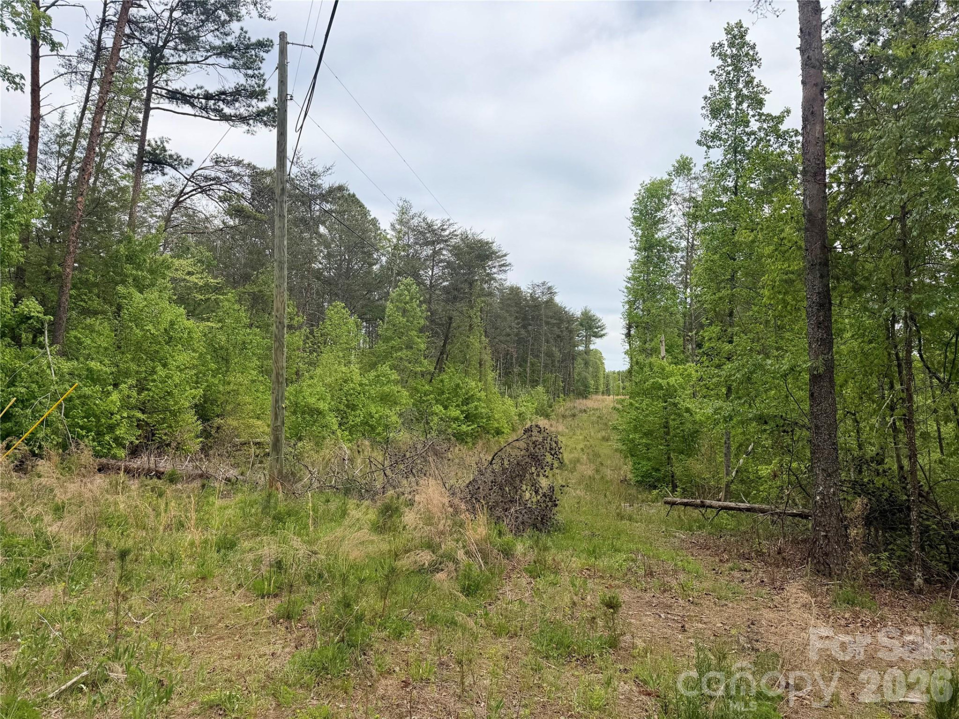 0 Polk County Line Road - Photo 16