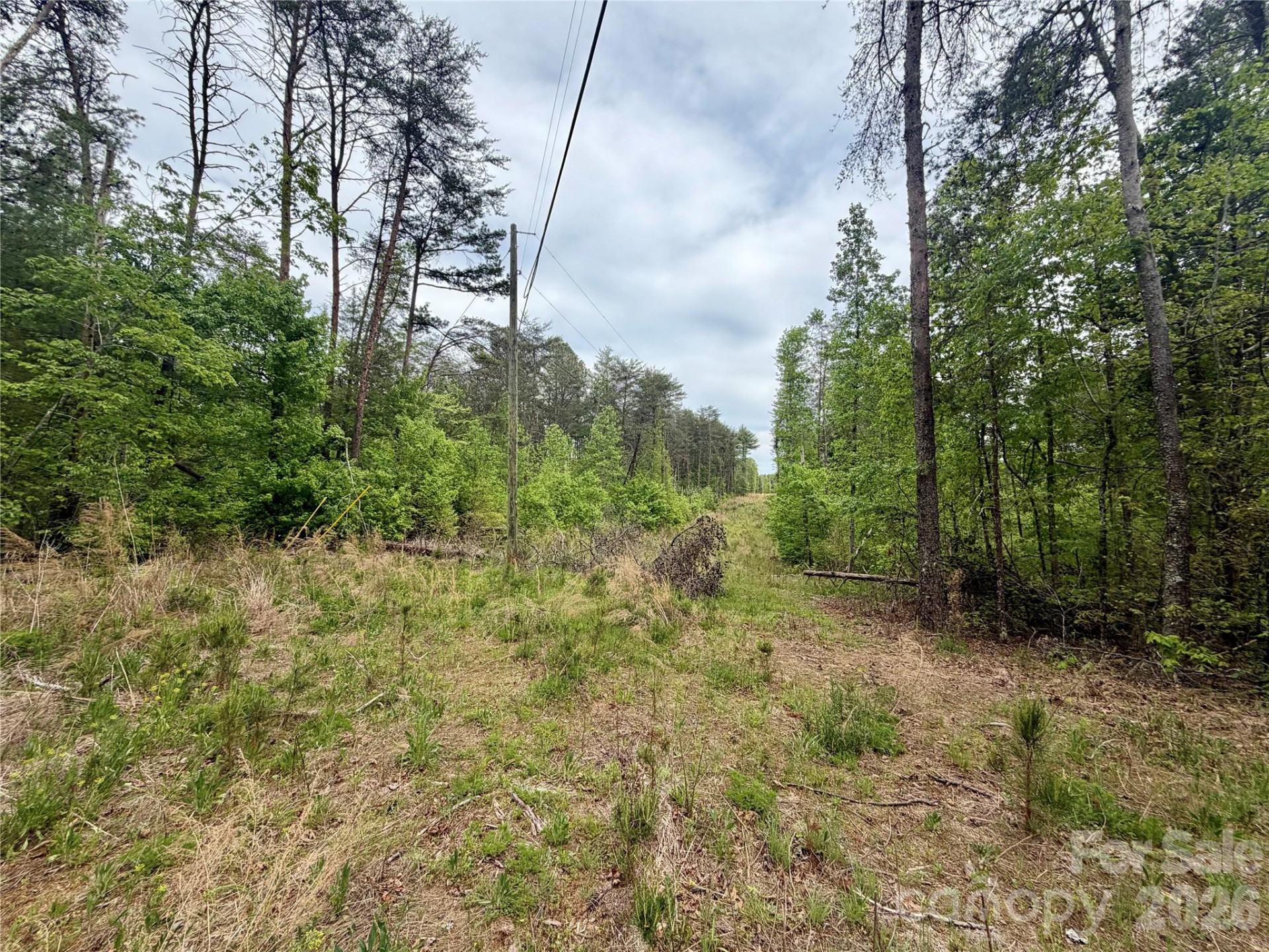 0 Polk County Line Road - Photo 17