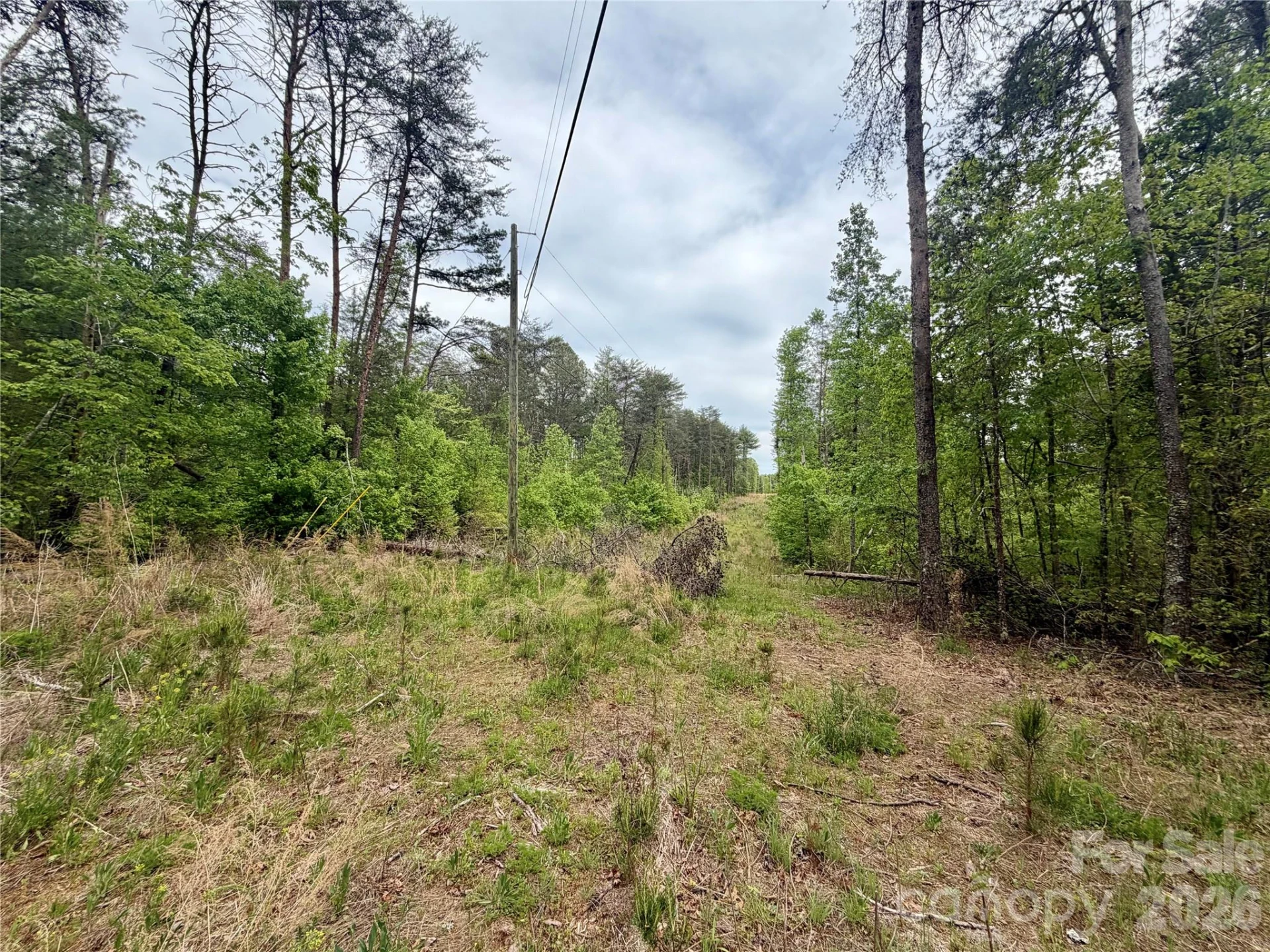 0 Polk County Line Road - Photo 17