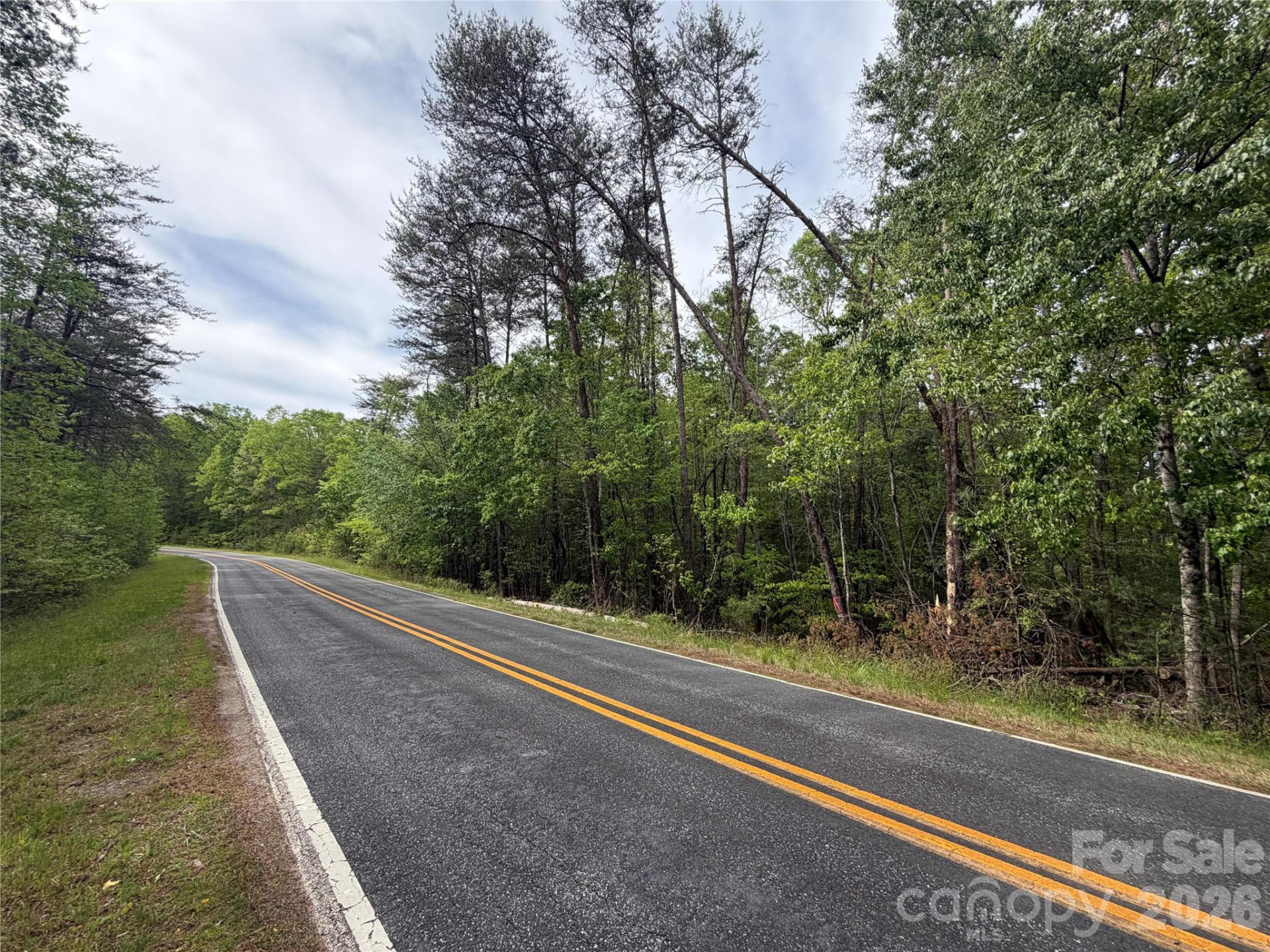 0 Polk County Line Road - Photo 18