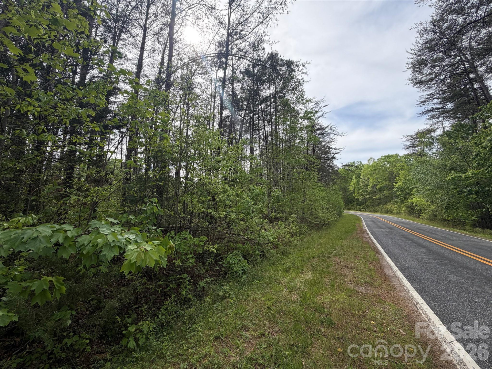 0 Polk County Line Road - Photo 19