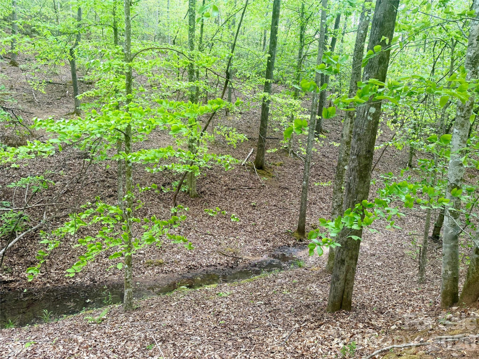 0 Polk County Line Road - Photo 3