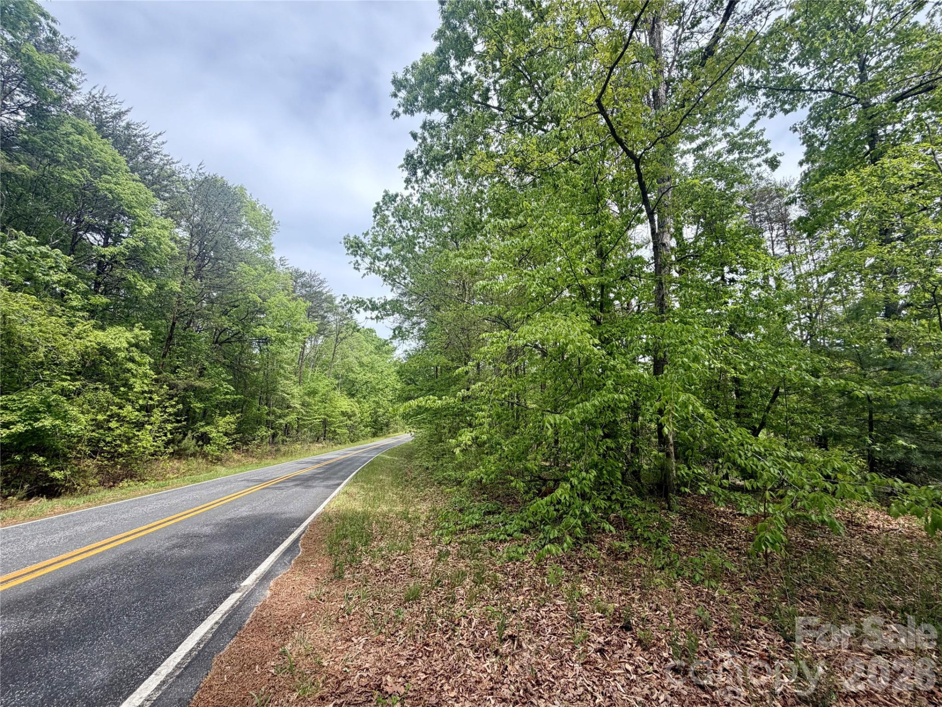 0 Polk County Line Road - Photo 21