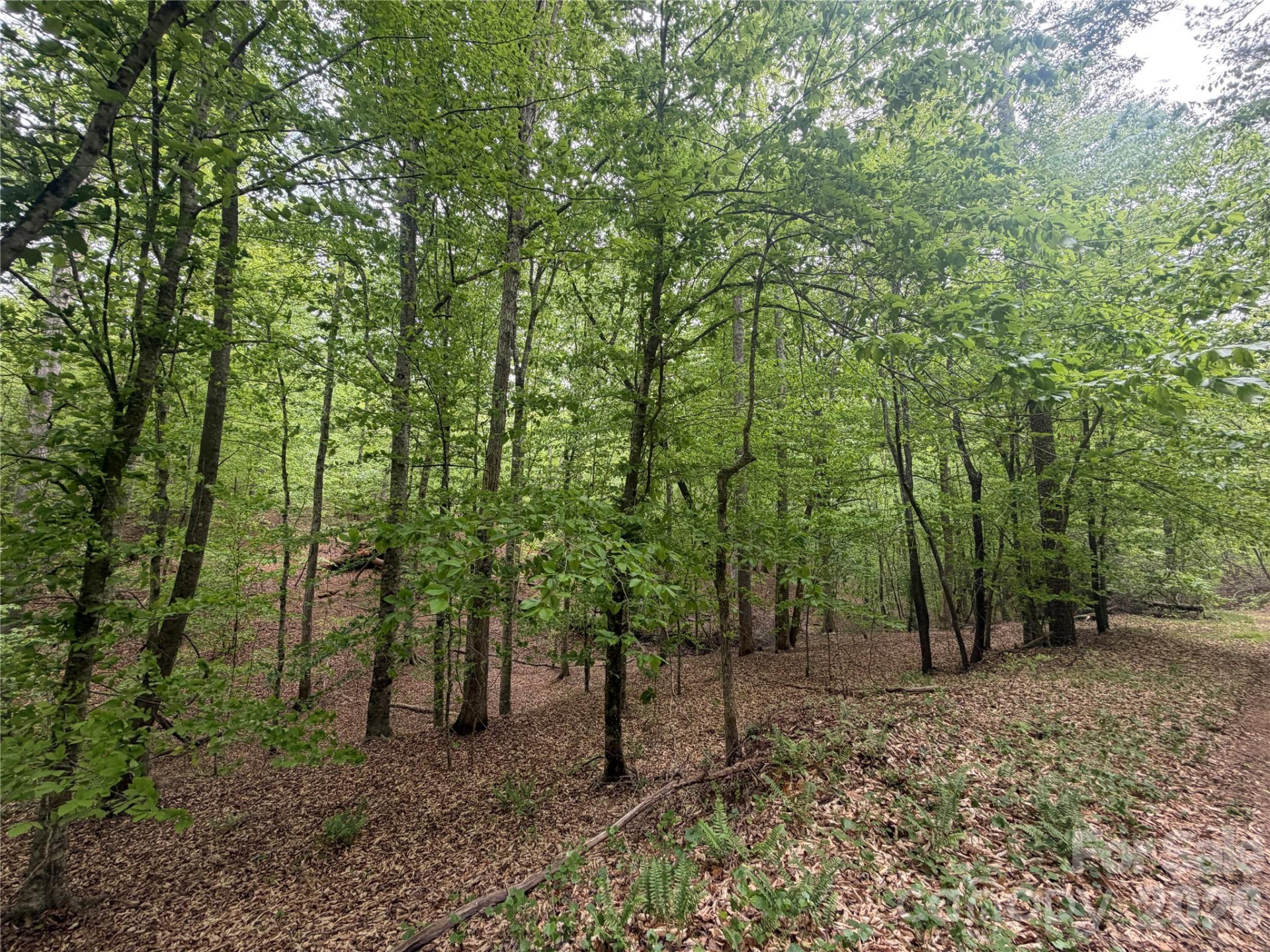 0 Polk County Line Road - Photo 22