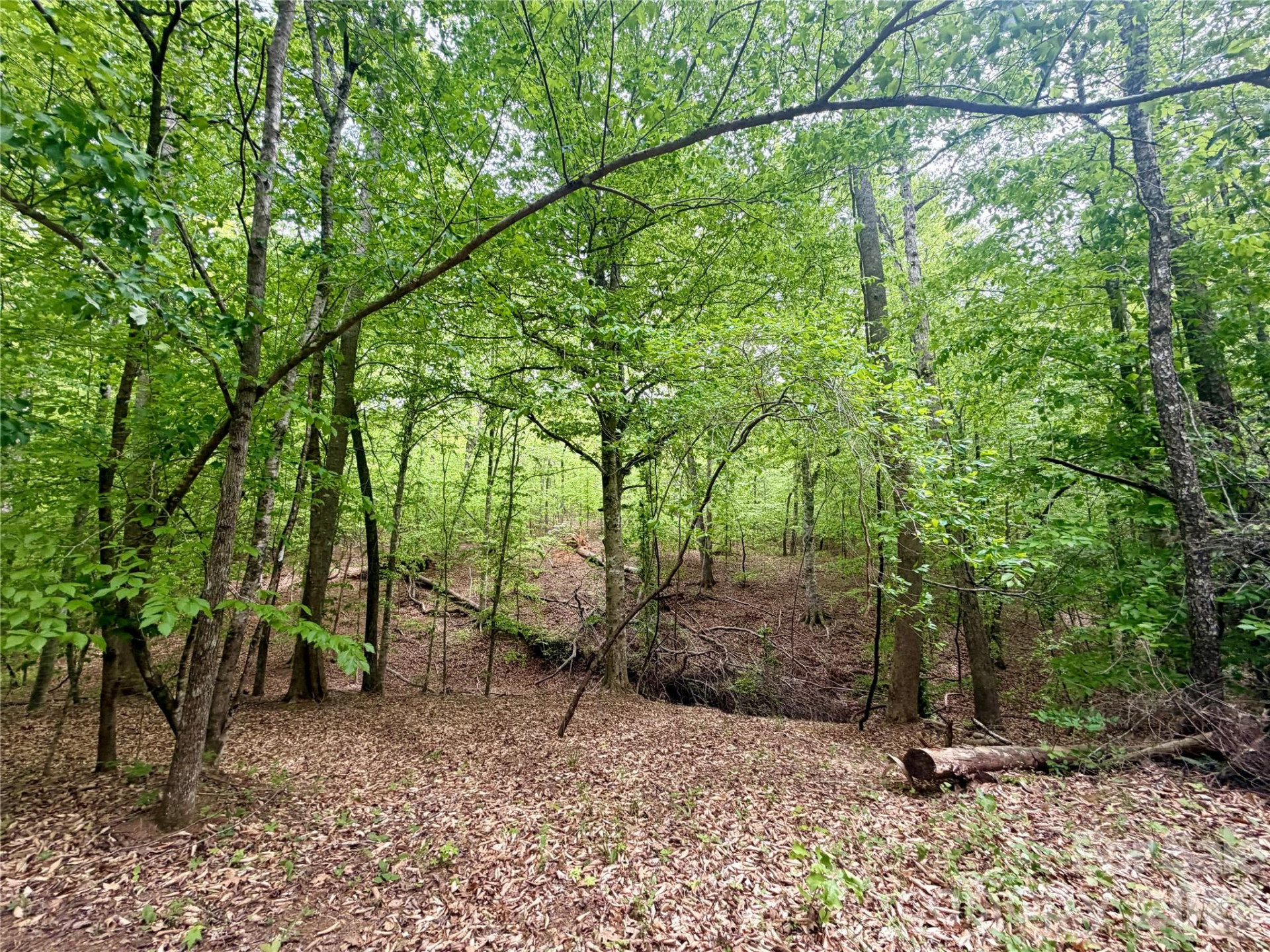 0 Polk County Line Road - Photo 23