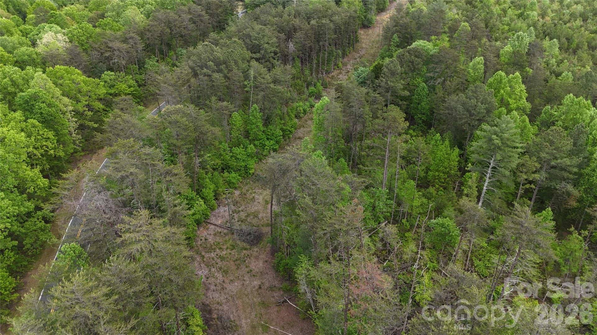 0 Polk County Line Road - Photo 24