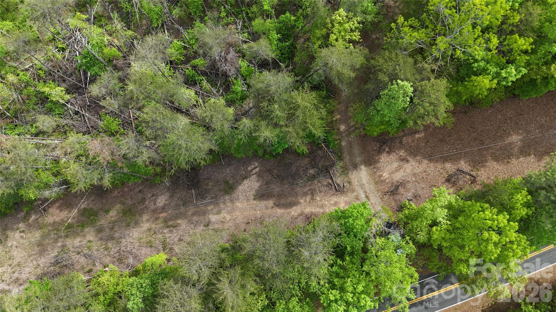 0 Polk County Line Road - Photo 25