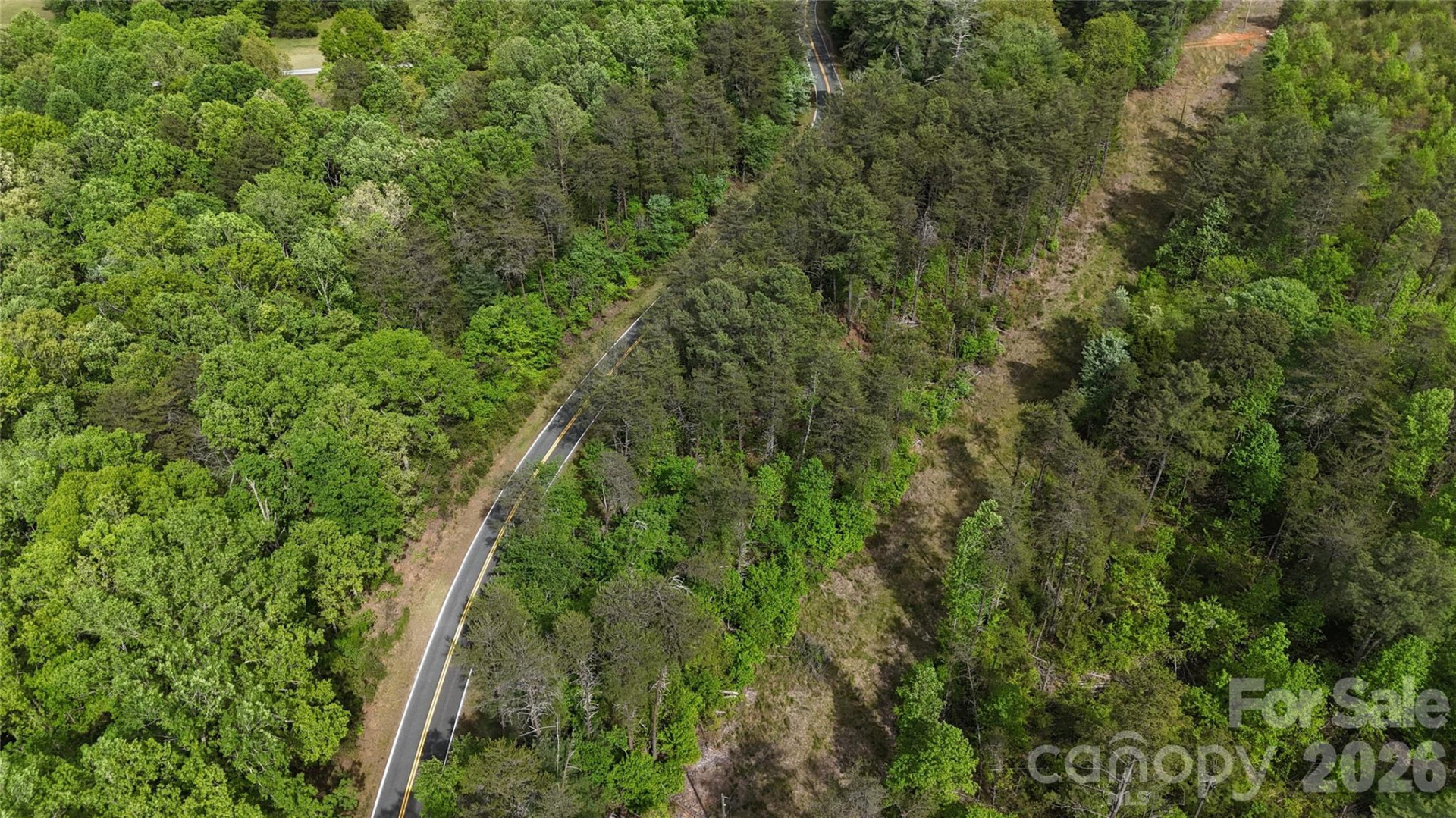 0 Polk County Line Road - Photo 4