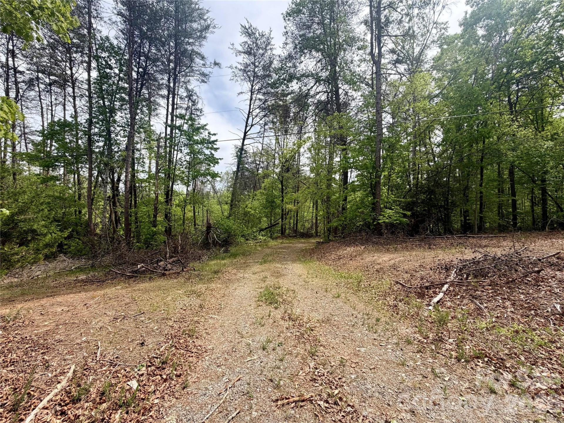 0 Polk County Line Road - Photo 5