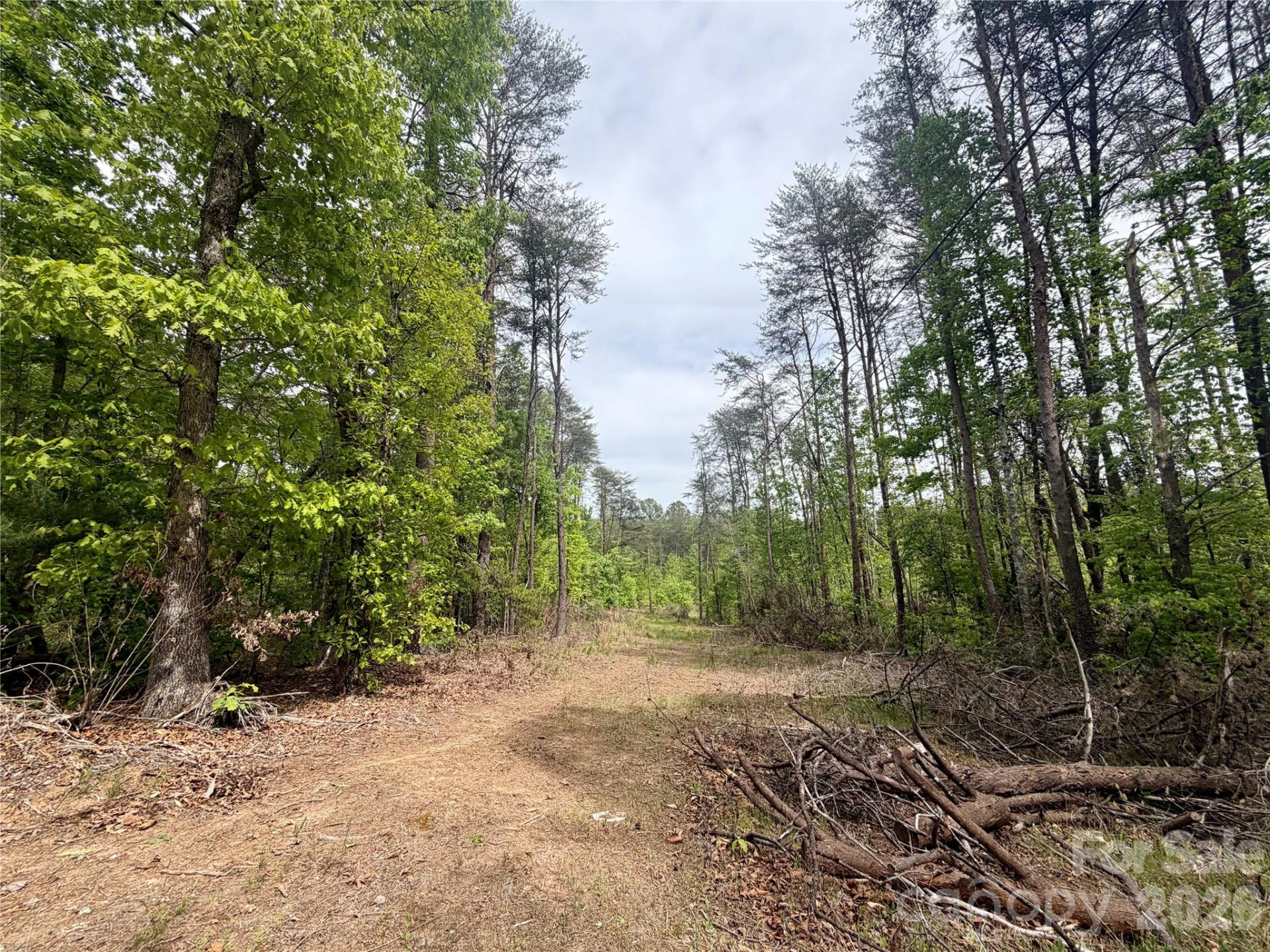 0 Polk County Line Road - Photo 6