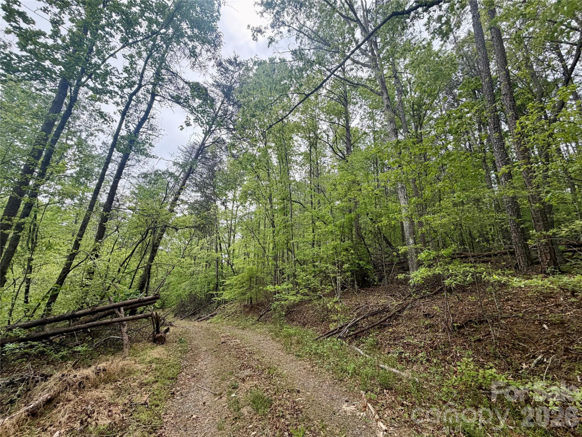 0 Polk County Line Road - Photo 7