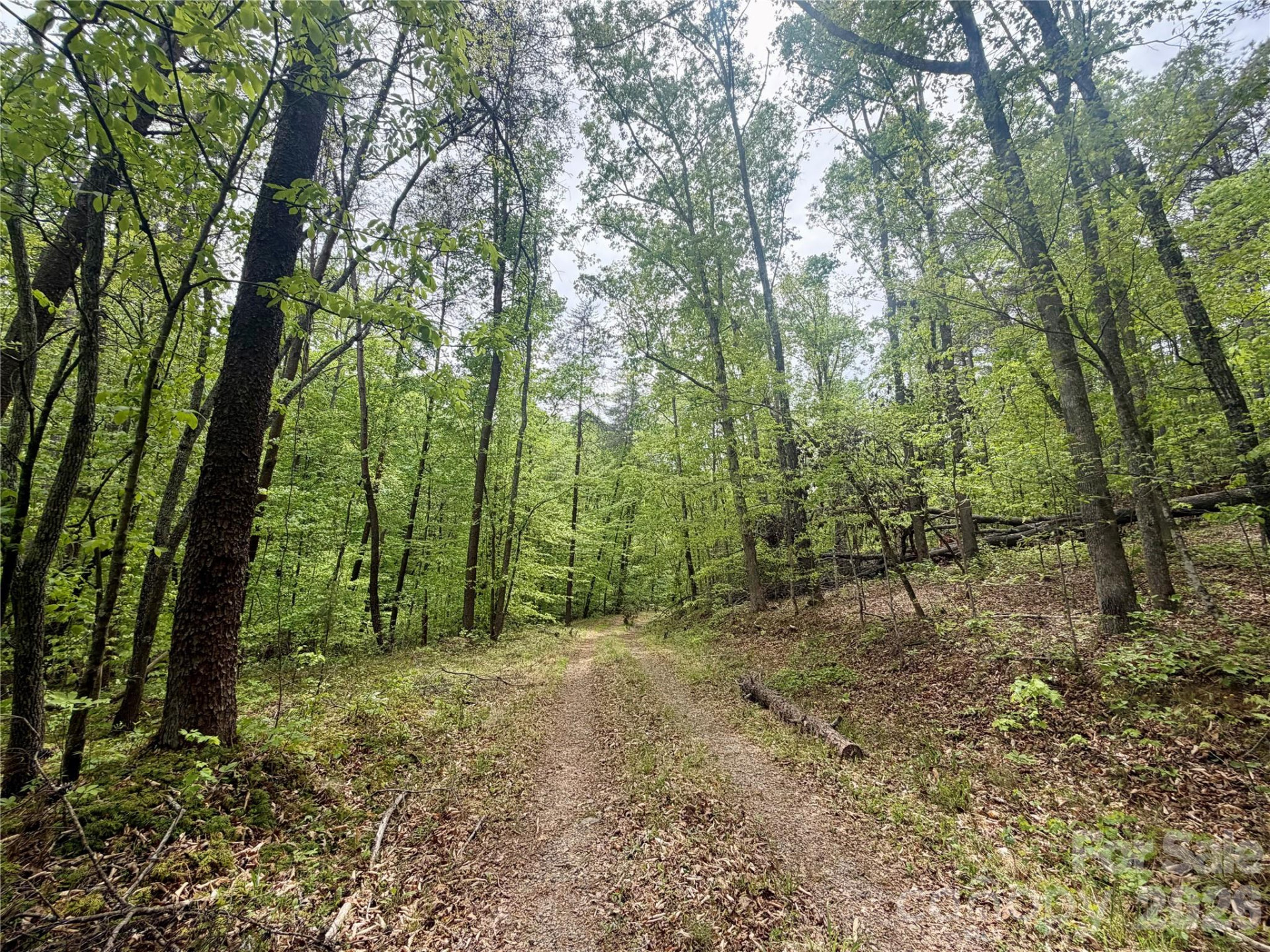 0 Polk County Line Road - Photo 8