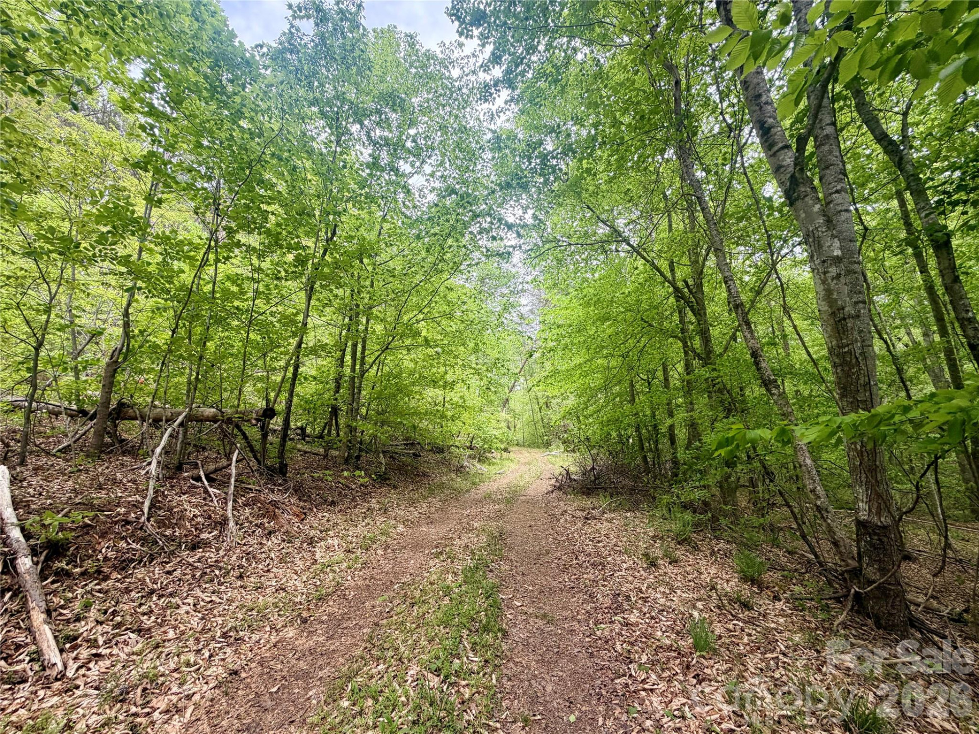 0 Polk County Line Road - Photo 9